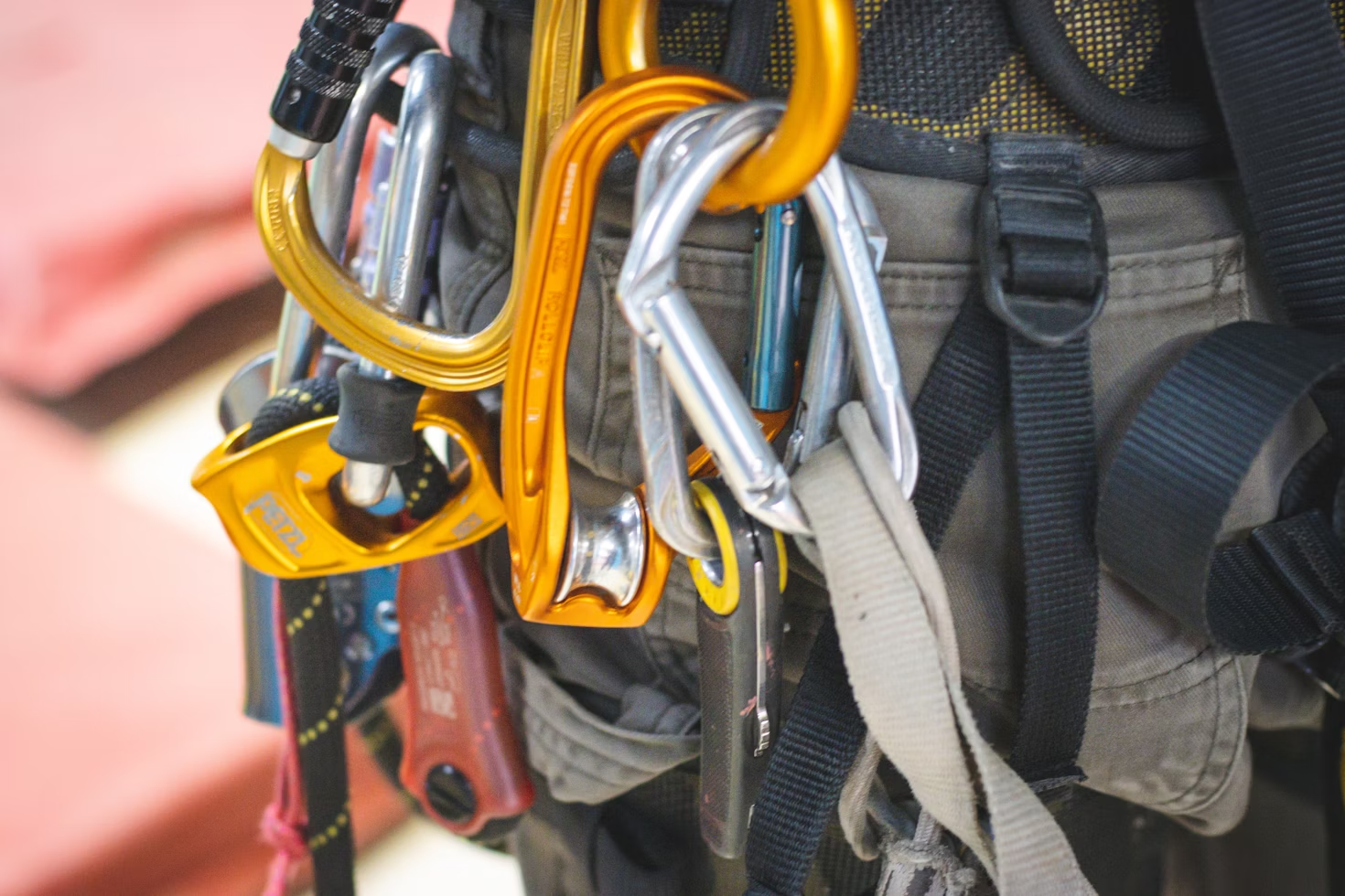 Close-up of carabiners and ropes on a harness.