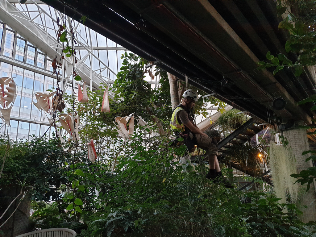 What Building Maintenance Services Can Be Done via Rope Access?