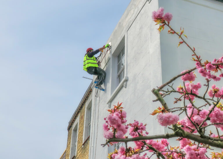 Technician on ropes repainting a white house wall with blooming cherry blossoms in foreground.