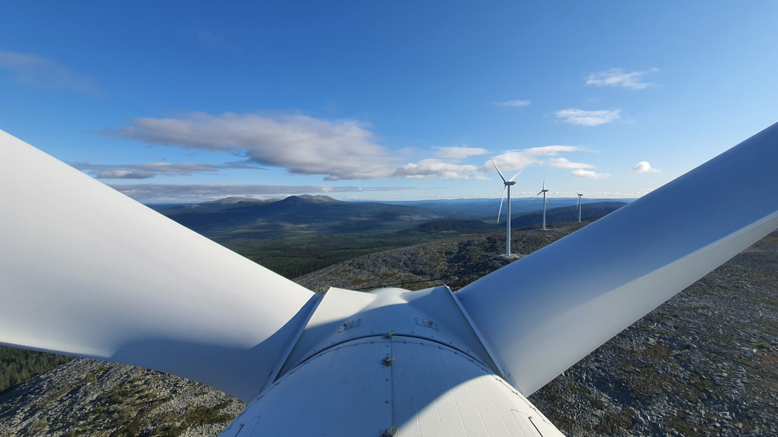 A close-up view of a wind turbine's blade with other turbines in the distance.