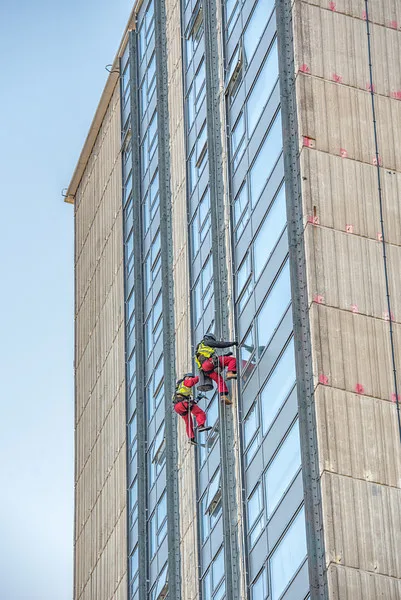 Two window cleaners in red safety gear rappelling down the side of a high-rise building, cleaning the glass windows.
